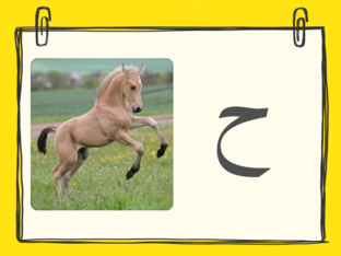 Arabic letters 5 by Arabic Reading