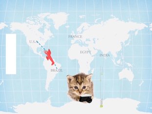 As Viagens Do Gatinho by Beatriz Rossini