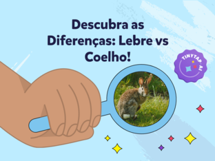 As diferenças da Lebre e do Coelho by Aline Silva