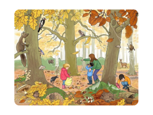 Autumn by Merel Kielema