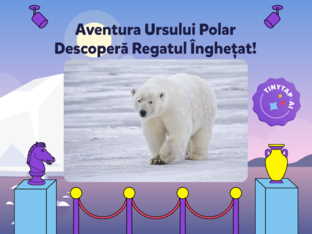 Aventura Ursului Polar by 11 june