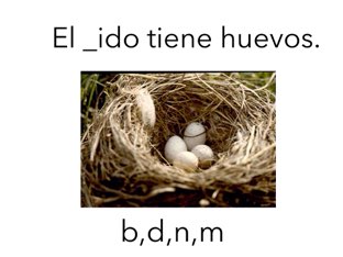 B Y N by Augusto Conde