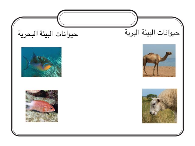 لعبة 89 by Abla Nooof