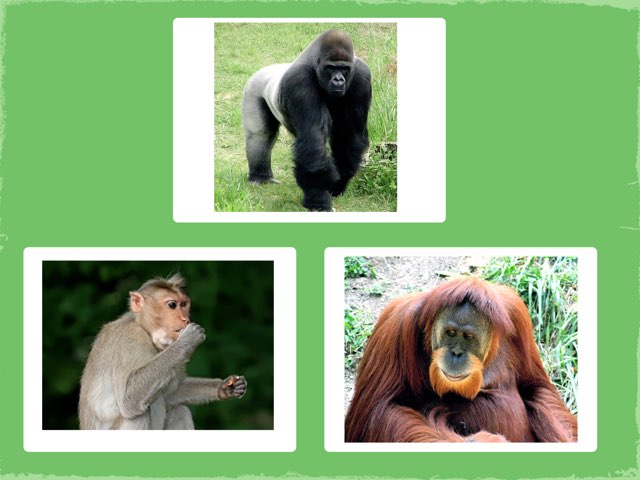 K3-1 by skhsjps St.james