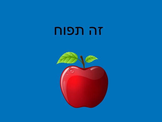 ראש השנה by Lily Brody