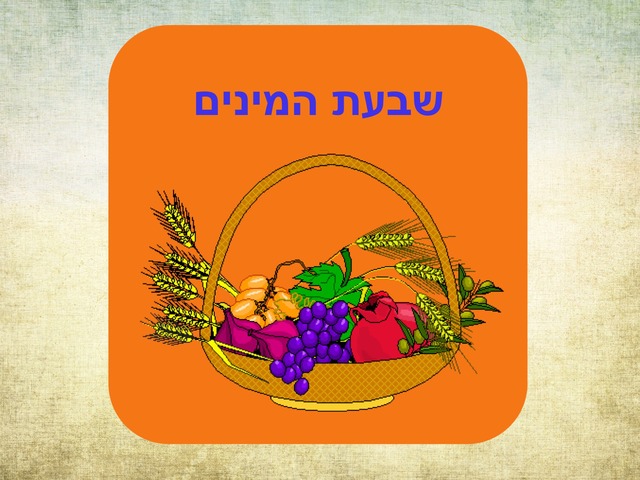 שבעת המינים by נועה יוסף