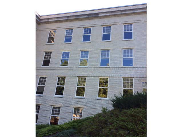 Puzzle Of Awesomeness by Caitlim Fortson