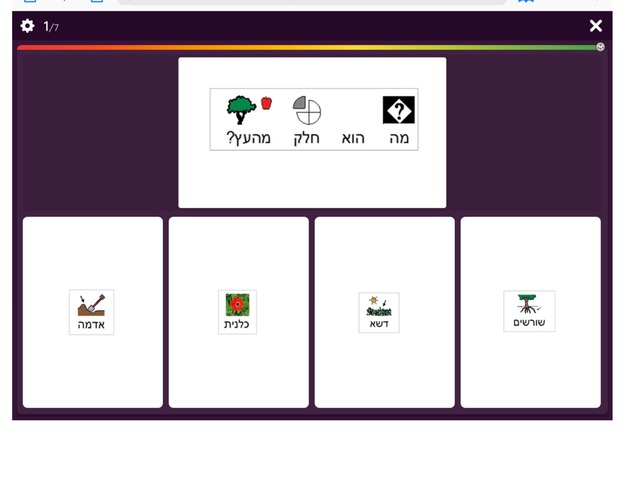 העץ הנדיב רמה 2 לחידון by Ronen Sadmon