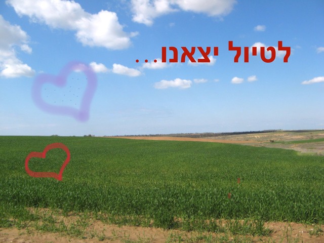 מטיילים בארץ ישראל by חגית