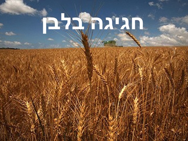 חגיגה בלבן by קרנית פרי ציפורי