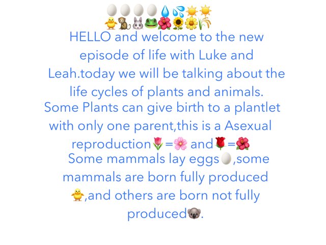 Luke And Leah's Life Cycle by Class FiveJ