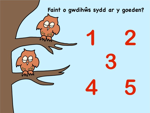 Cyfri Y Gwdihŵ A Gysgodd Drwy’r Nos by Bethan Thompson