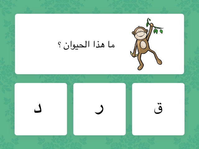 What’s My Name¿ by Donia Diab