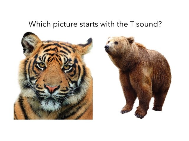 Beginning Sounds by Rita Beyer