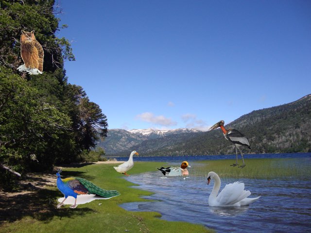 animales Marcelle 4 by Yaiza blanco