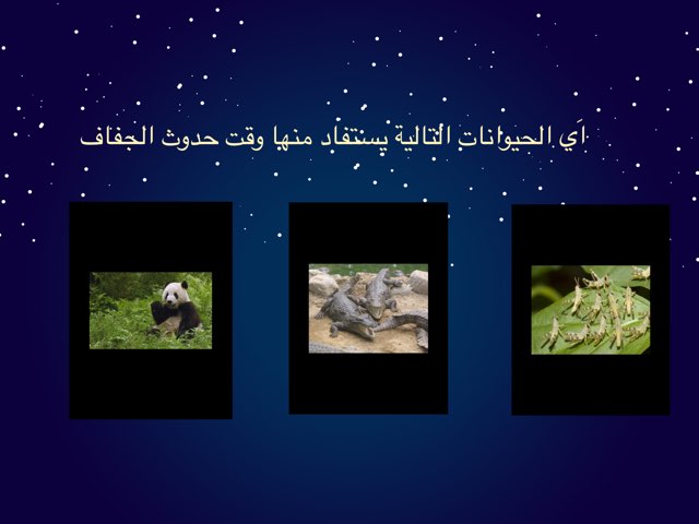 تفاعلات by بدرية حمّاد