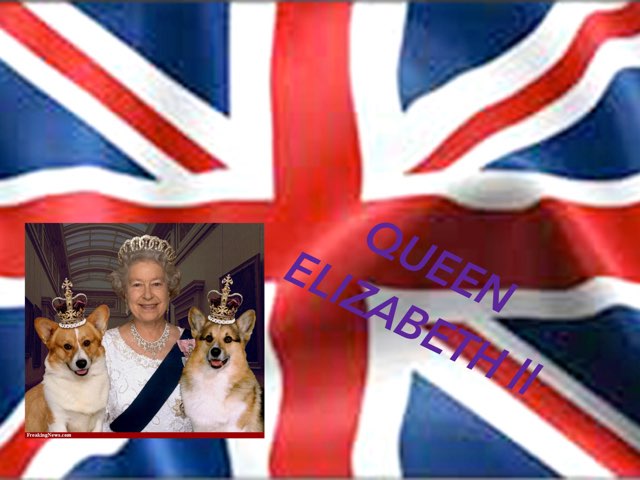 BY Alfie+ Caitlin by Poppleton Ousebank