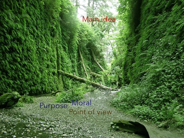 M-step Words by Kim Wildeboer