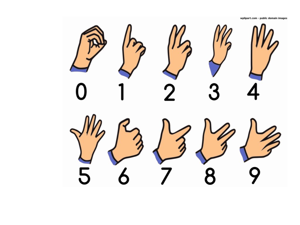 Play Sign Language With Numbers by Charlotte Mitchell on TinyTap