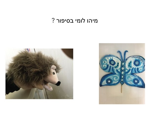 שאלות על הסיפור הארנב ממושי  by רינת ידגר