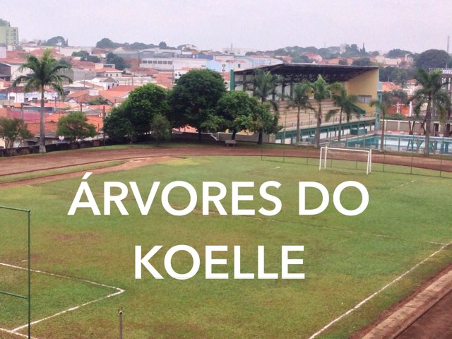 Árvores do Koelle by TEDI Tecnologias Digitais