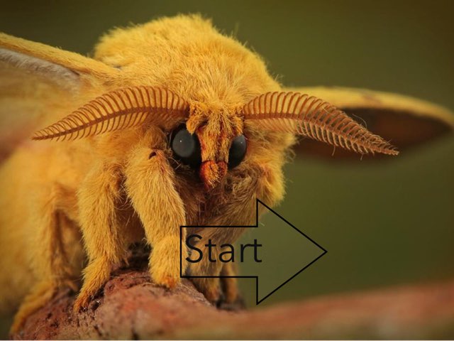 Spel 13 by Thijn Boom