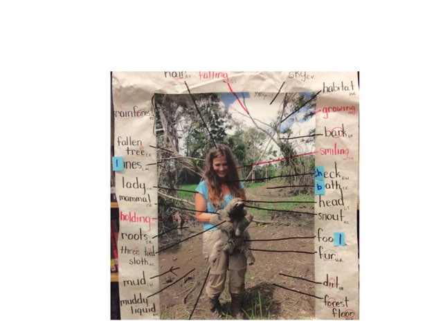 Type  by Lina Benincasa