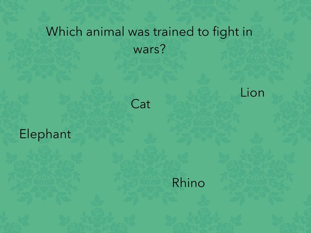 Animal Quiz by Charley Bergthold