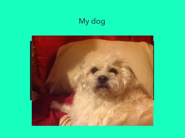 Bella12336 by Nasiya Albo