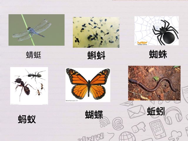 找动物 by Anita xu