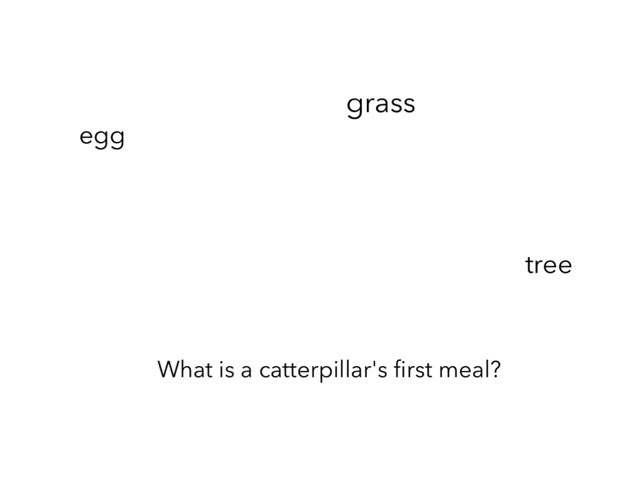 BM 13 by maggie ellis