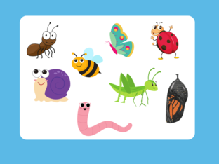 BUGS by Anna Szy