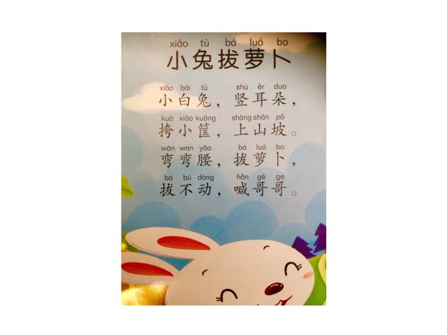 Basic Chinese:  Little rabbit Pulling Carrots by Shaoyi Li