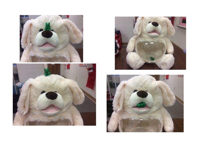 Bear Where? by Meredith cameron