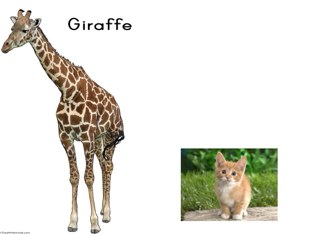 Bigger and Smaller (10101255 & 10100498) by Jess Brennan