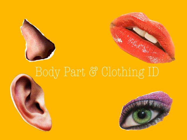 Body Part & Clothing ID by Katie Davis