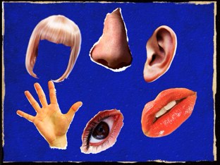 Body Parts by Caroline Frenchman