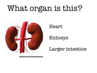 Body Systems by Lápis de cor