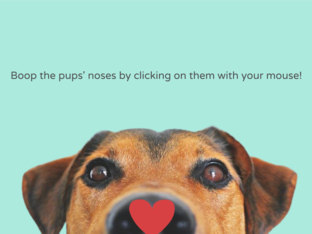 Boop The Pup! by Jordan Bringe