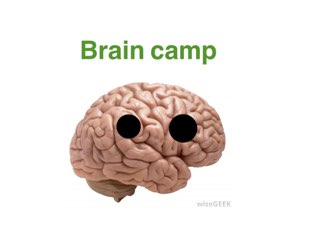 Brain Camp  by Essaean  Lyon