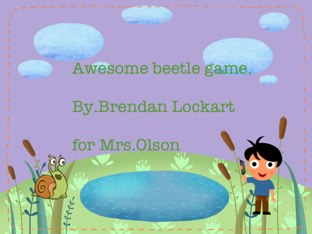 Brendan's Beetle Project by Stephanie Olson