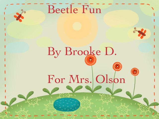 Brook's Beetle Project by Stephanie Olson