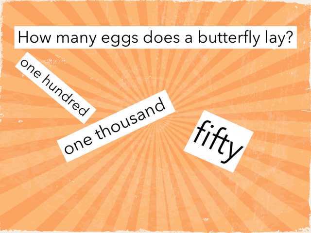 Bs 17 by maggie ellis