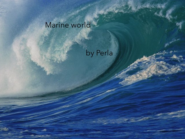 Ocean By Perla  by Morah Alex