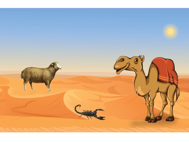 لعبة 22 by Fajer Bojarwah