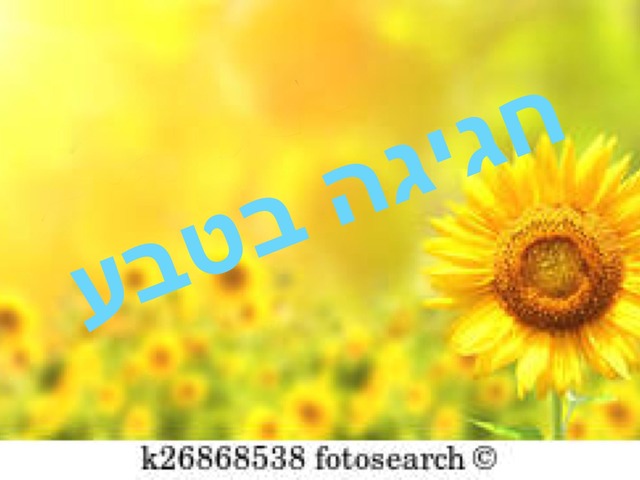 חגיגה בטבע by אפרת כהן