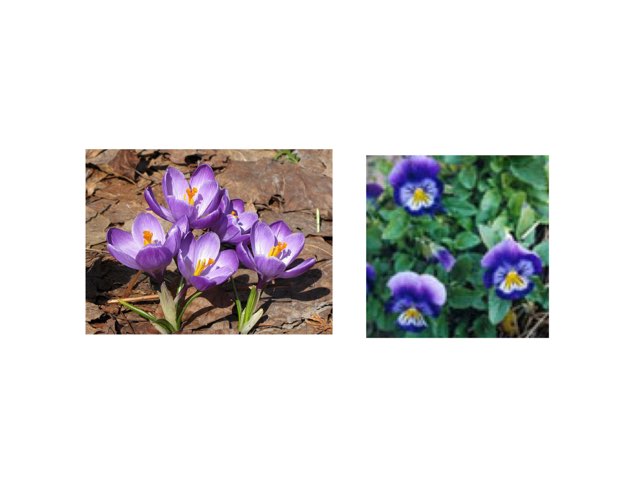 This game is to test how much you know about New Brunswick. Why don't you test it out right now!!!!  by 3md md