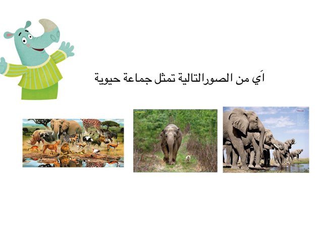 الجمعات والمجتمعات الحيوية by بدرية حمّاد