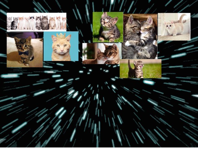 Kittens  by Kim Wildeboer