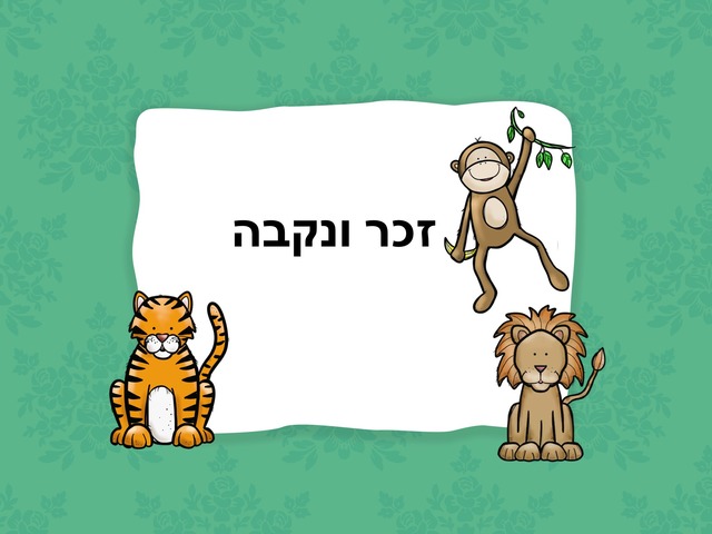 דוגמא by יהב בוכריס